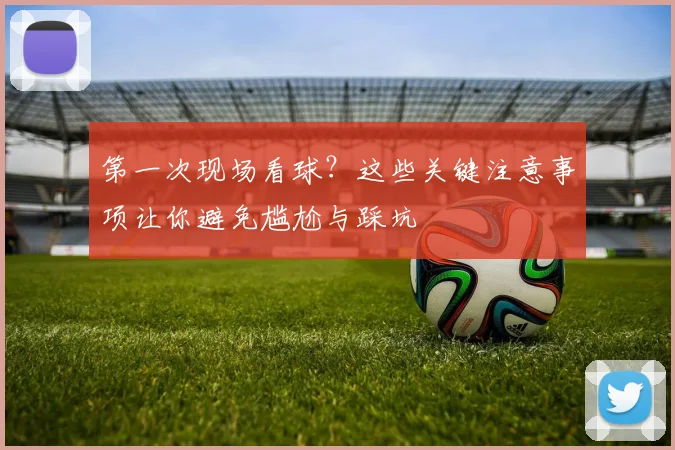 第一次现场看球?这些关键注意事项让你避免尴尬与踩坑