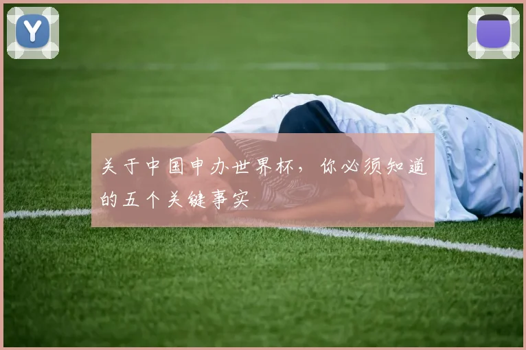 关于中国申办世界杯,你必须知道的五个关键事实