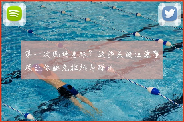 第一次现场看球?这些关键注意事项让你避免尴尬与踩坑