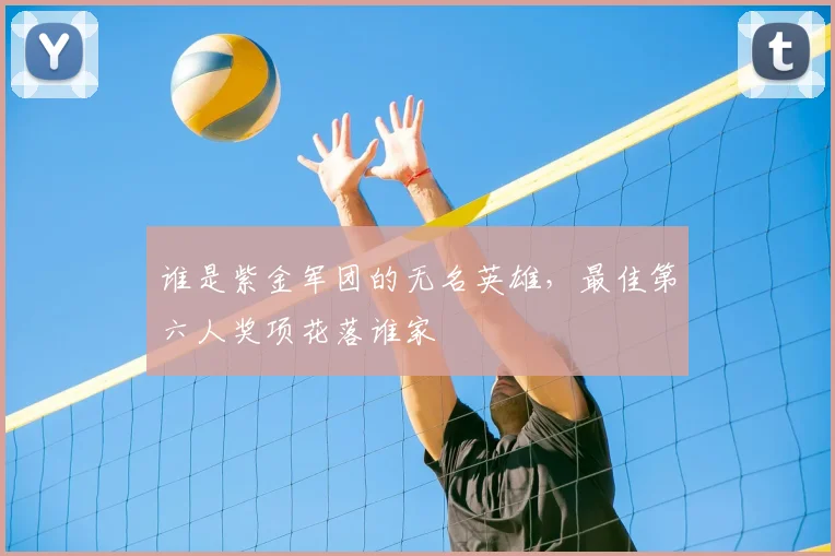 谁是紫金军团的无名英雄，最佳第六人奖项花落谁家